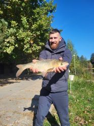 Абрикос, база відпочинку фото