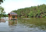 Абрикос, база відпочинку фото