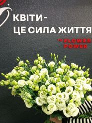 Flower power, квітковий магазин фото