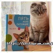 Books, книжковий магазин фото