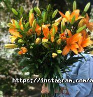 ArtDiflowers, салон цветов и праздничного оформления фото