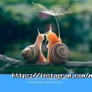 Мамазин, дитячий інтернет-магазин фото