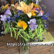 Цветофея фото