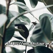 TrendyTex by Maria Oguz, торгова фірма фото