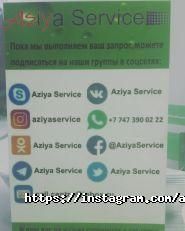 Aziya Service, торгово-сервисная компания фото