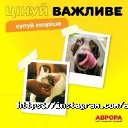 Сьогодні Аврора, мережа соціальних магазинів фото