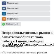 Хостел на Көкмайса фото