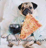 Kenga, кафе фото