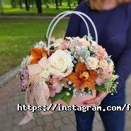 Flowerrainbow, студія фото