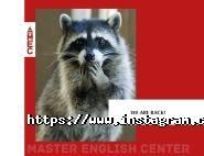 Master English Center, курси англійської мови фото