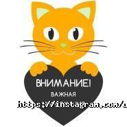 DOLCE VITA, модельная школа фото