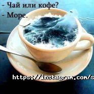S-elephant, туристичне агентство фото