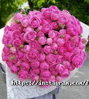 Flowerrainbow, студія фото
