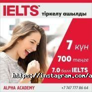 Alpha Academy, академия образования фото