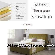 TEMPUR, торговая компания фото