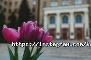 Харківський національний університет ім. В. Н. Каразіна фото