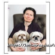 V.O.G Dog Salon, мережа грумінг-салонів фото