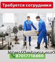 Коврочисты, салон чистки ковров фото