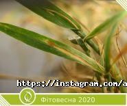Агроген Ново, ветеринарно-діагностичний центр фото