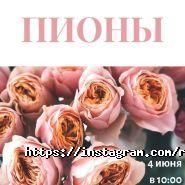 Ralinart, художественный центр фото