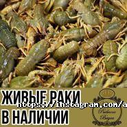 Азбука Рыбного Вкуса, магазин фото