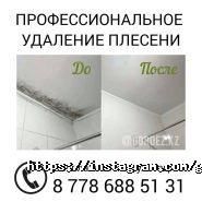 ЦентрГорДез, городская служба дезинсекции фото