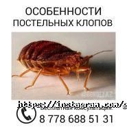 ЦентрГорДез, городская служба дезинсекции фото