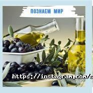 Dream Travel туристична агенція фото
