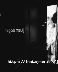 Just dog it, кафе-бар фото