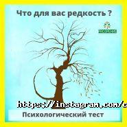 PROЗРЕНИЕ, психологический центр фото