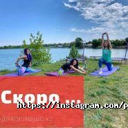 Projumping Fitness, сеть фитнес-центров на батутах фото