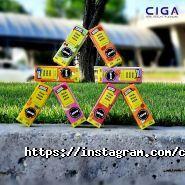Ciga.kz, сеть магазинов электронных сигарет фото