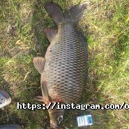 Озеро Гачок, база відпочинку фото