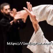 WDP, школа бойових мистецтв тай-цзи фото