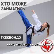 Спіннер, спортивний клуб тхеквондо фото