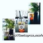 Saint Coffee, кав'ярня фото