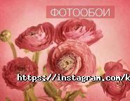 Континент, шпалерна фабрика фото