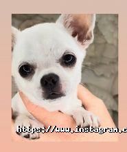 Make Up Grade, студія і школа візажу фото