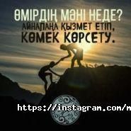Motivator, спортивный комплекс фото