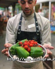 Фортуна, пансіонат фото