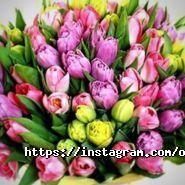 Родинне вогнище, ресторан фото