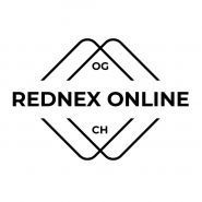 ReDNex, разработка и продвижение сайтов фото