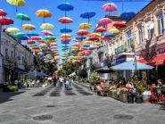 Ортекс, сервисный центр фото
