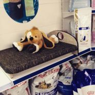 Королевская собака, магазин товаров для животных фото