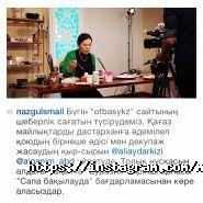 MediaZavod, творческое объединение фото