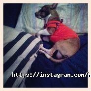 glo, магазин товарів для куріння фото