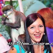 Золоте руно, готельно-ресторанний комплекс фото