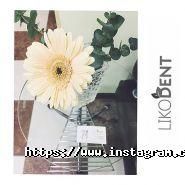 Lekadent, стоматологія фото