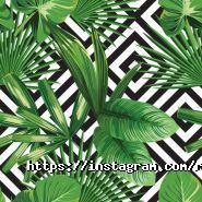 Rise, кав'ярня фото