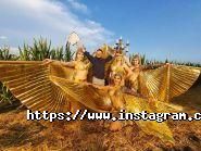 Денис Доля, ведучий фото